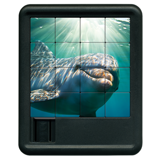 Dolphin Sliding Tiles