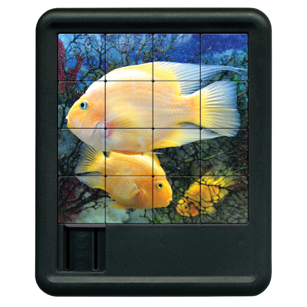 Parrot Fish Sliding Tiles