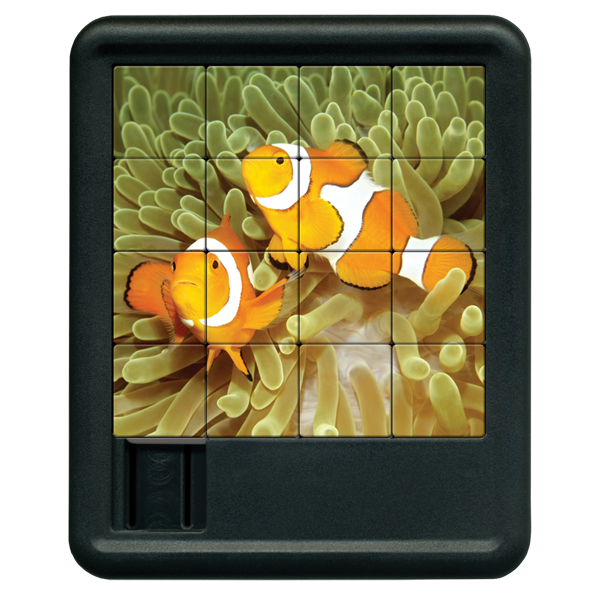 Clown Fish Sliding Tiles