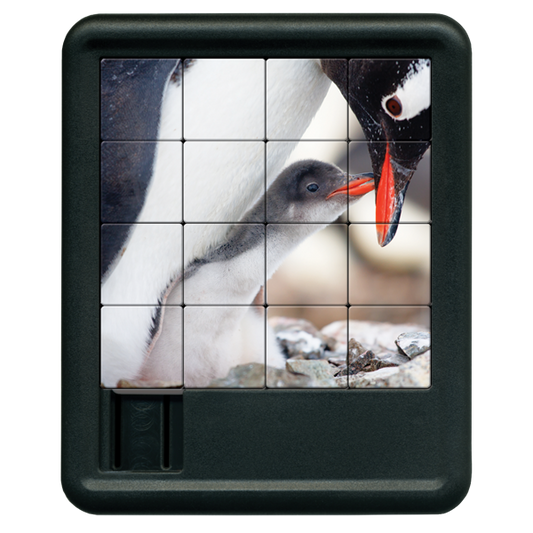 Penguins Sliding Tiles