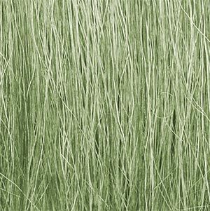 FIELD GRASS LIGHT GREEN