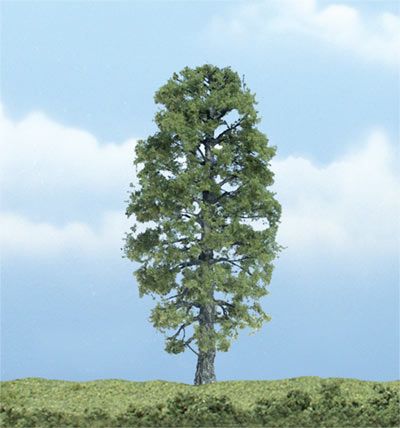 BASSWOOD 4" TREE