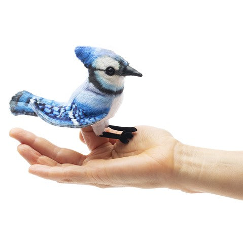 Mini Blue Jay