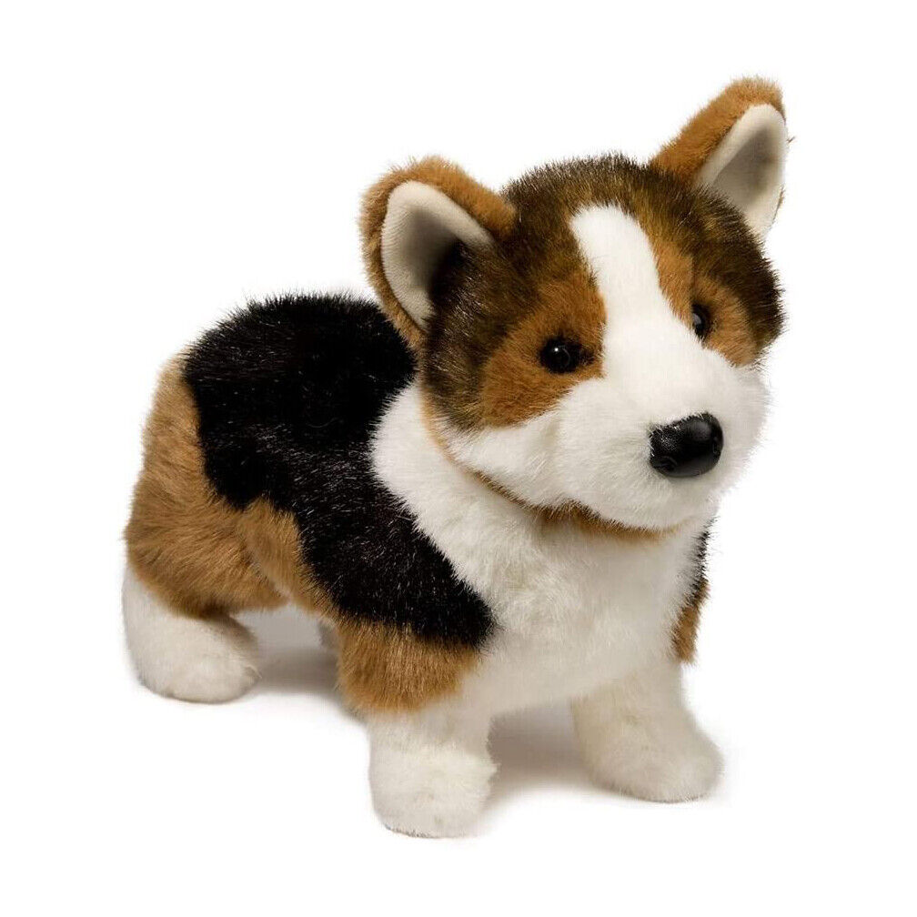 Kirby Tri-colored Corgi