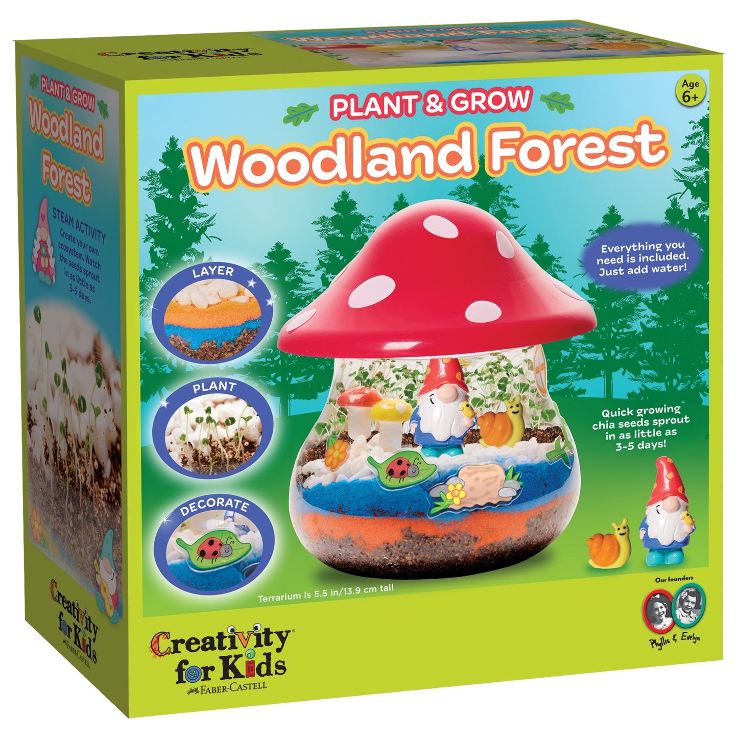 Plant & Grown Woodland Forest